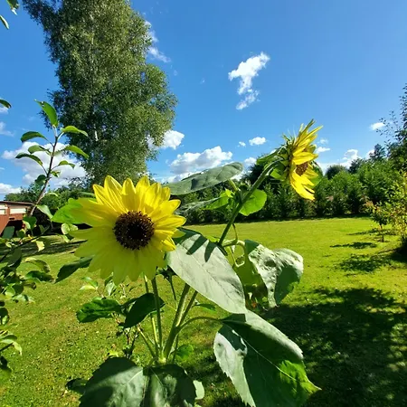 Dom Caloroczny Ogrzewany Na Wiejskiej 5 Lubiatowo (Pomerania)