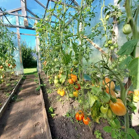 Prázdninový dům Na Wiejskiej 5