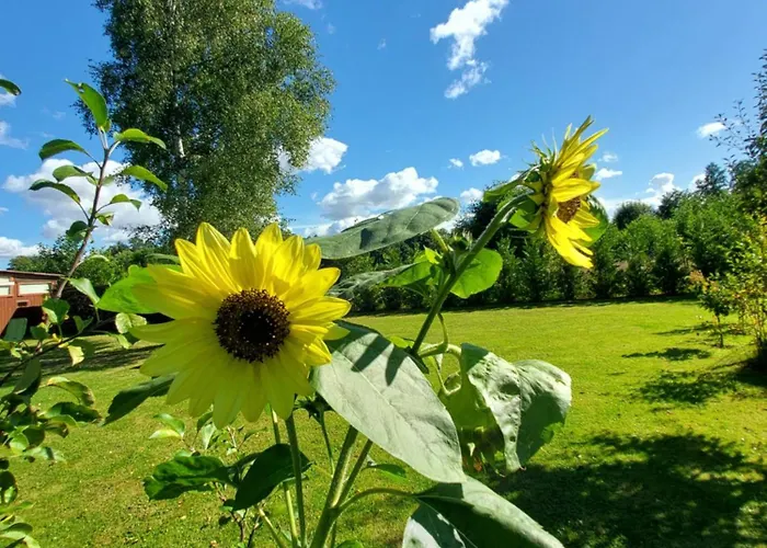 Na Wiejskiej 5 Lubiatowo (Pomerania)