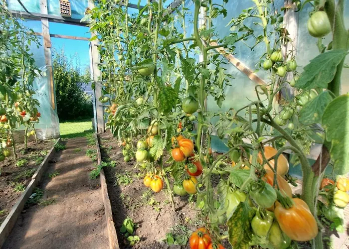 Dom wakacyjny Na Wiejskiej 5